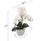 2-Pack 19" White Phalaenopsis Orchid Flowers in Dimple Ceramic Pots – Realistic Silk Orchid Arrangement – Elegant Faux Plant Decor for Home & Office